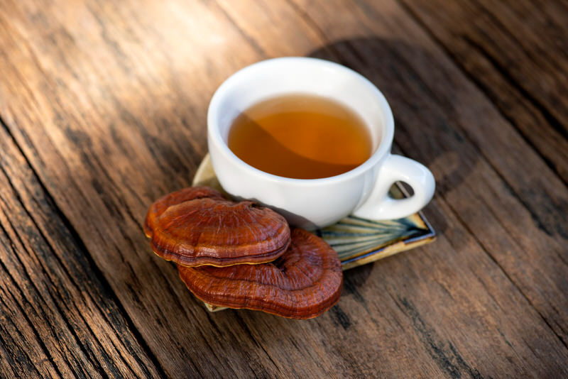 A cup of Reishi (aka Lingzhi) mushroom tea.