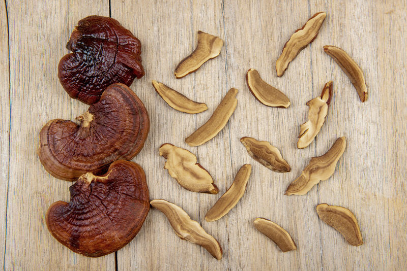 Some Reishi mushroom, also known as Lingzhi, laid out on a table.
