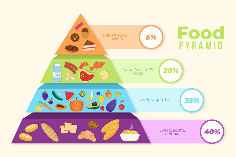 A nutritional food pyramid showing the breakdown of ideal daily food intake.