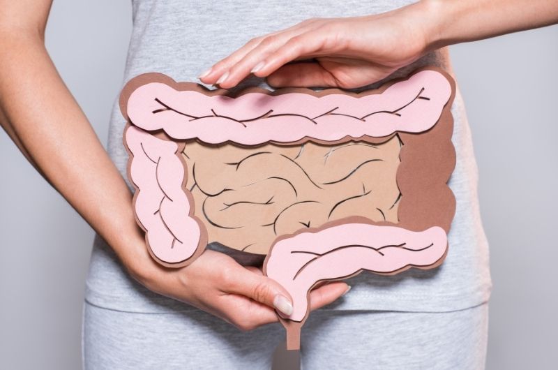 A woman is holding a cardboard diagram of the large intestine in front of her