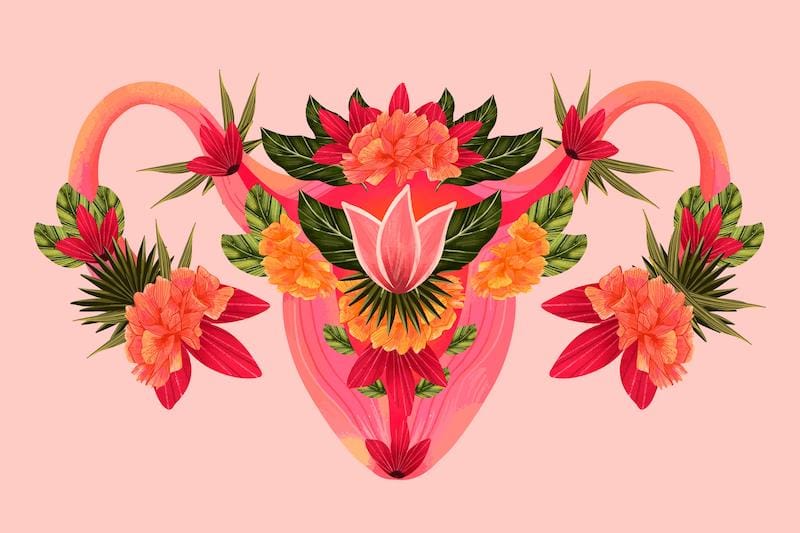 A floral design of the female reproductive system