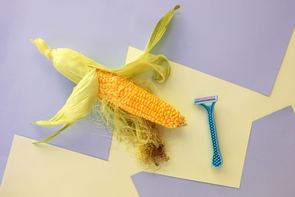An ear of hairy corn is used as a concept of ingrown pubic hair that is about to be shaved